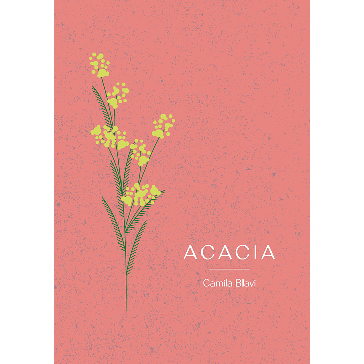 Acacia 1