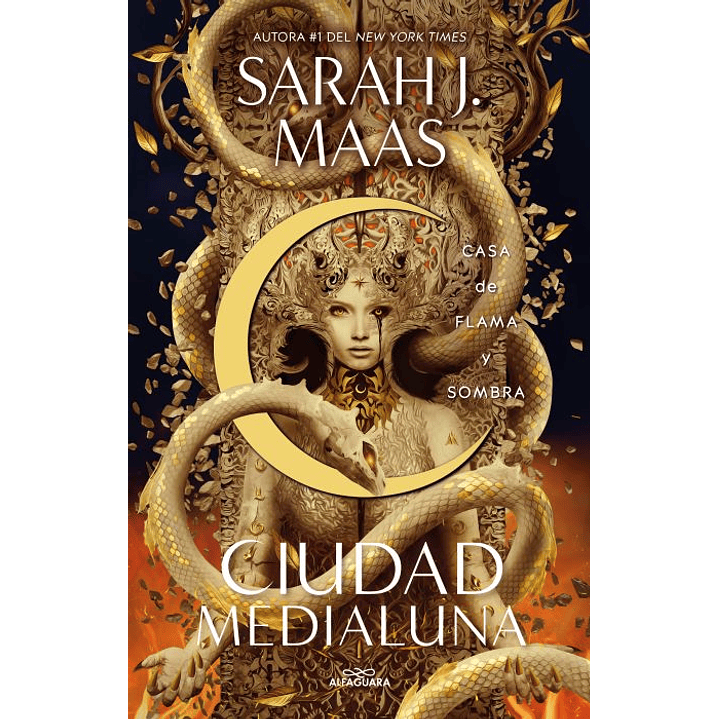 Casa De Flama Y Sombra 1