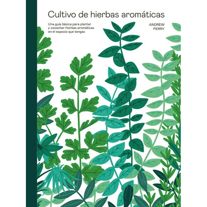 Cultivo De Hierbas Aromáticas 1