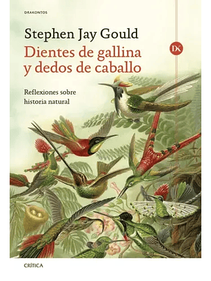 Dientes De Gallina Y Dedos Caballo