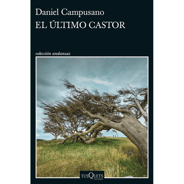 El ÚLtimo Castor 1