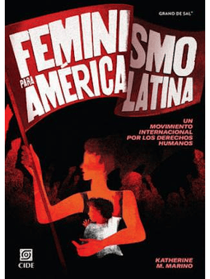Feminismo Para America Latina
