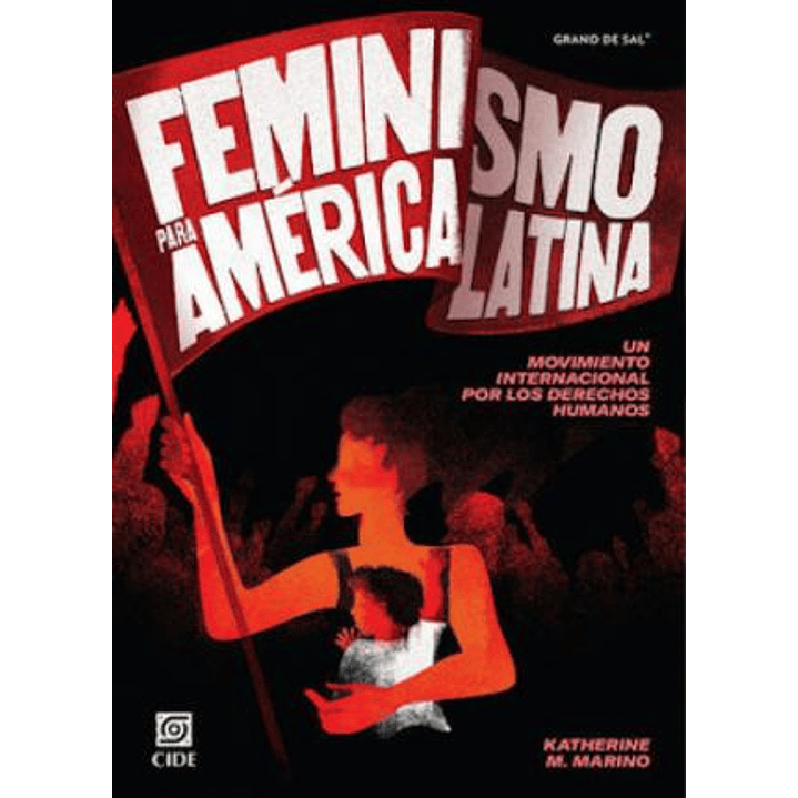 Feminismo Para America Latina 1