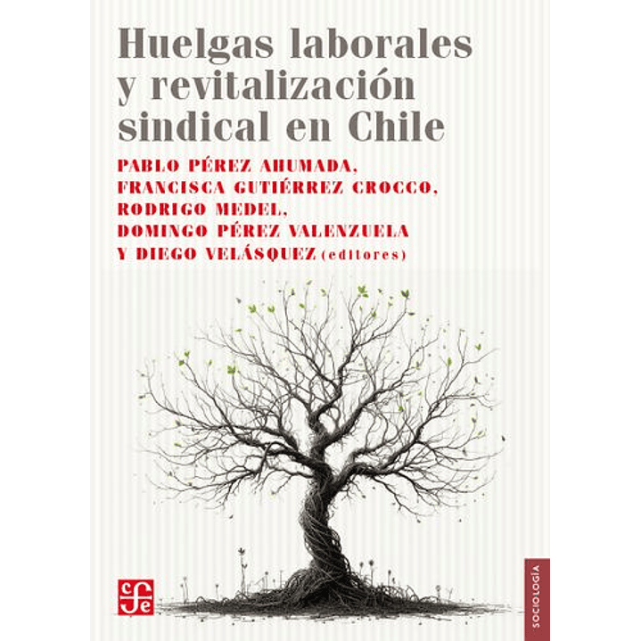 Huelgas Laborales Y Revitalización Sindical En Chile 1