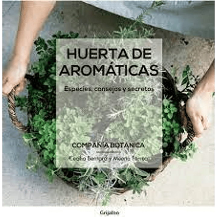 Huerta De Aromáticas 1