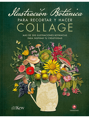 Ilustración Botánica Para Recortar Y Hacer Collage