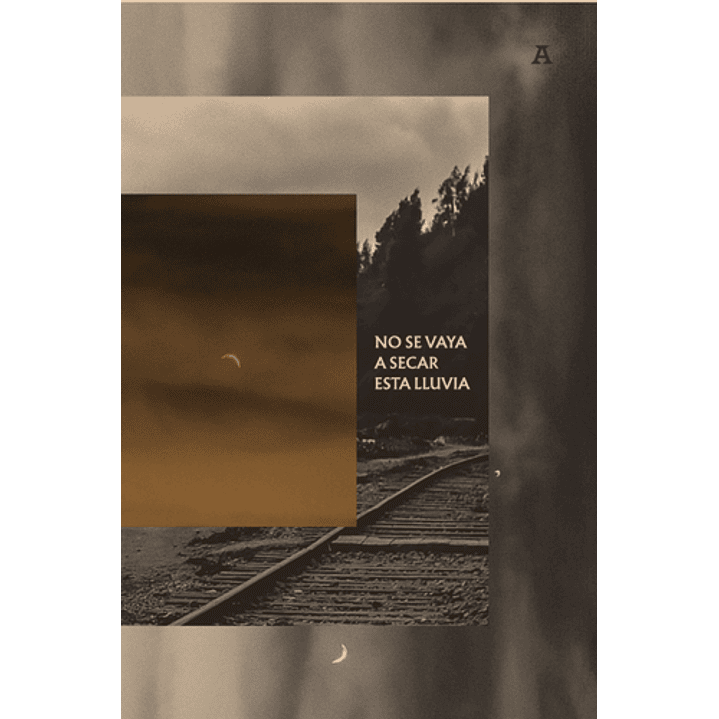 No Se Vaya A Secar Esta Lluvia 1