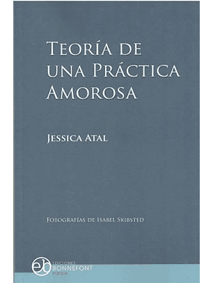 Teoría De Una Práctica Amorosa
