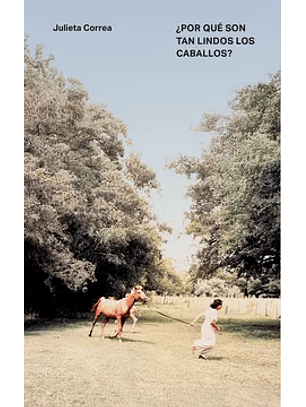 ¿Por Qué Son Tan Lindos Los Caballos?