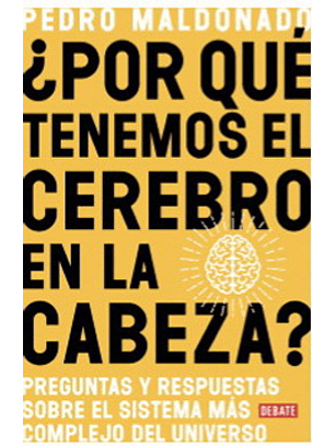 ¿Por Que Tenemos El Cerebro En La Cabeza?