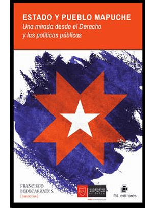 Estado Y Pueblo Mapuche