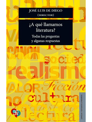 ¿A Que Llamamos Literatura?