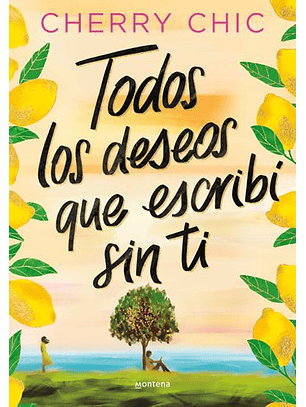 Todos Los Deseos Que Escribí Sin Ti