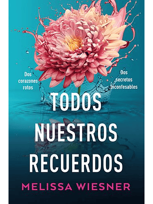 Todos Nuestros Recuerdos