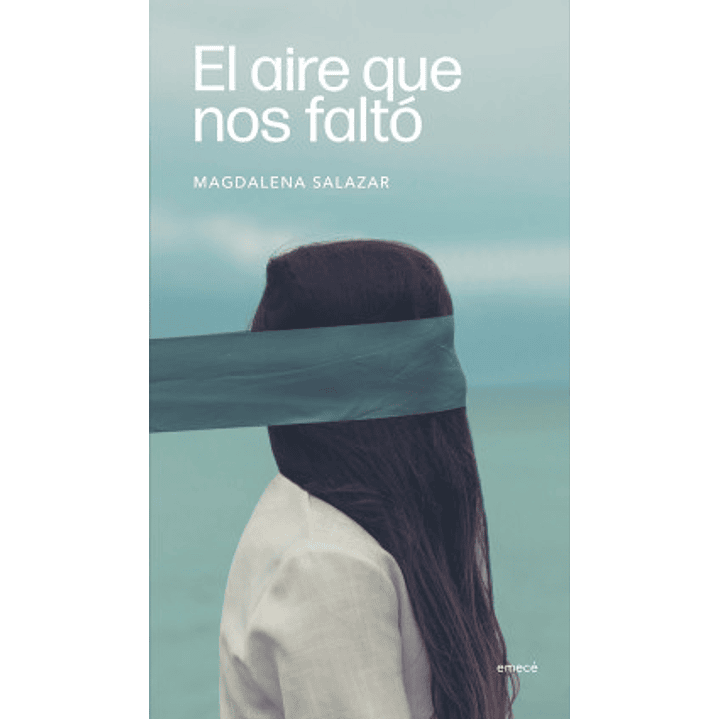 El Aire Que Nos Faltó 1