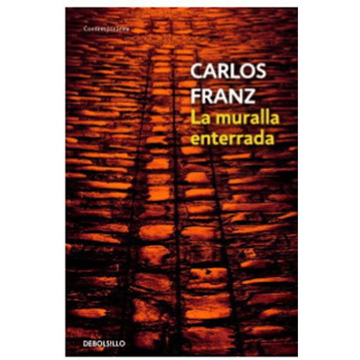 La Muralla Enterrada 1