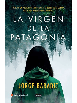 La Virgen De La Patagonia