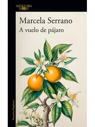 A Vuelo De Pájaro