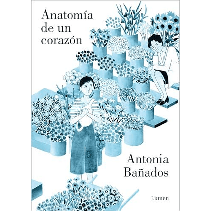 Anatomia De Un Corazon 1