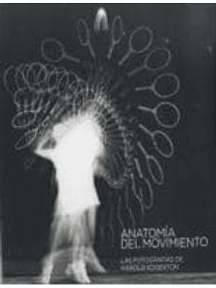 Anatomia Del Movimiento