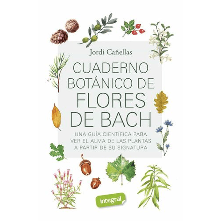 Cuaderno Botánico De Flores De Bach 1