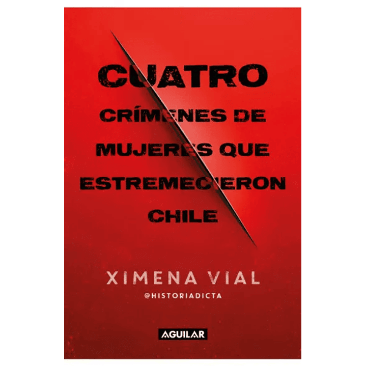 Cuatro Crímenes De Mujeres Que Estremecieron Chile 1
