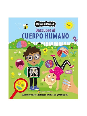 Datos Curiosos Descubre El Cuerpo Humano