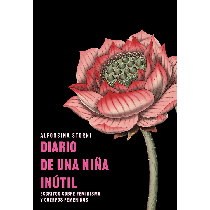 Diario De Una Niña Inutil 1