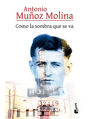 Como La Sombra Que Se Va