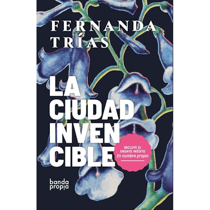 La Ciudad Invencible 1