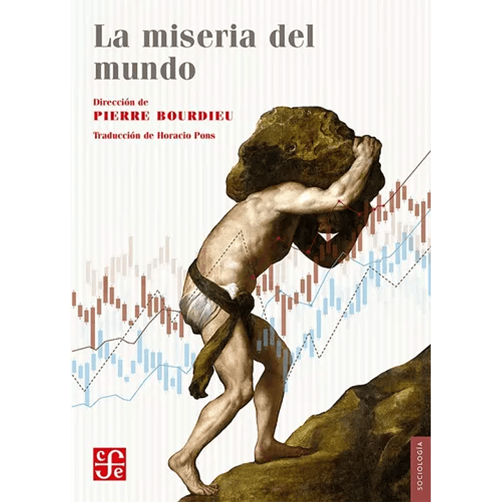 La Miseria Del Mundo 1