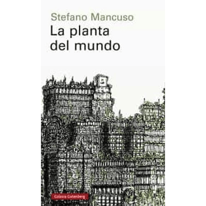 La Planta Del Mundo 1