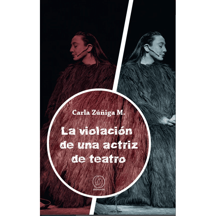 La Violacion De Una Actriz De Teatro 1