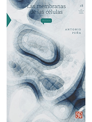 Las Membranas De Las Células