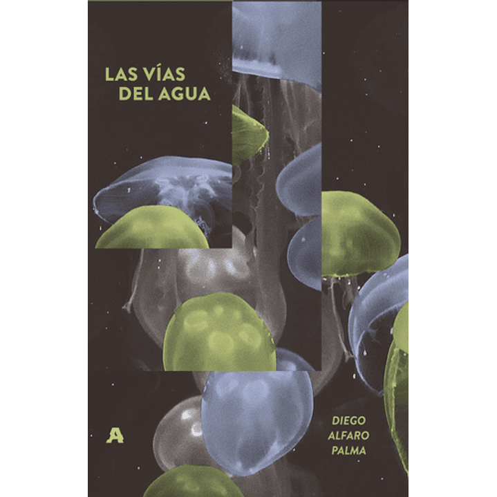 Las Vías Del Agua 1