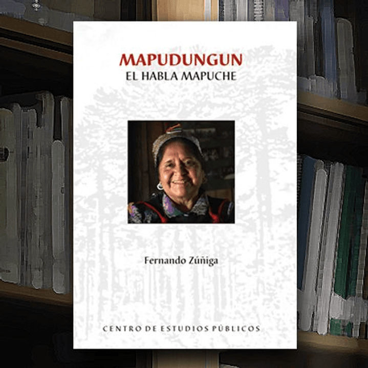 Mapudungun. El Habla Mapuche 1