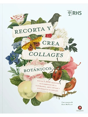 Recorta Y Crea Collages Botánicos