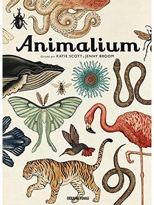 Animalium