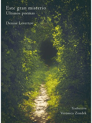 Este Gran Misterio, Ultimos Poemas