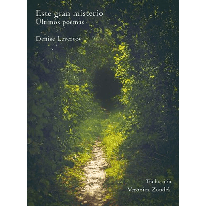 Este Gran Misterio, Ultimos Poemas 1