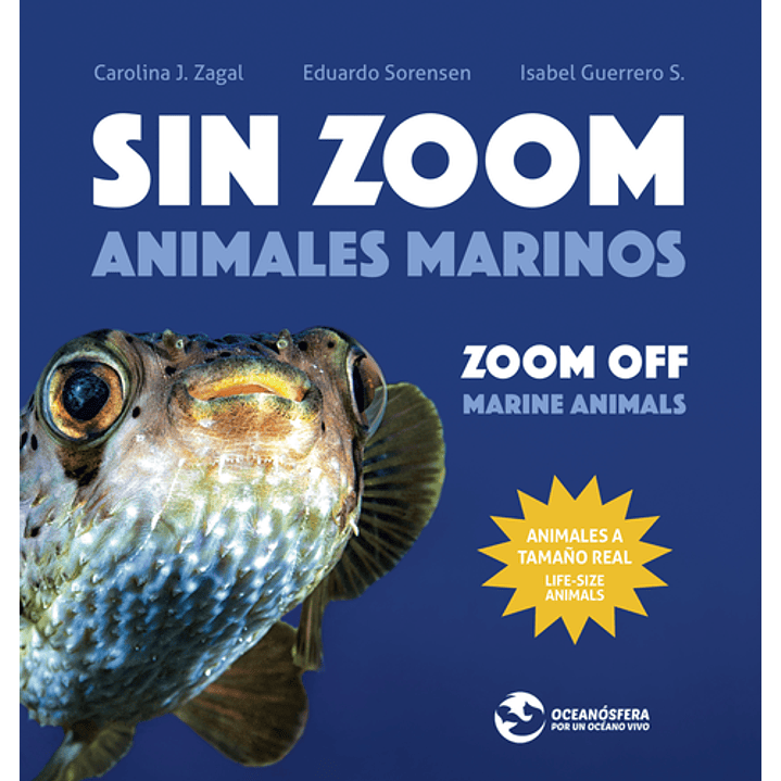 Sin Zoom Animales Marinos 1
