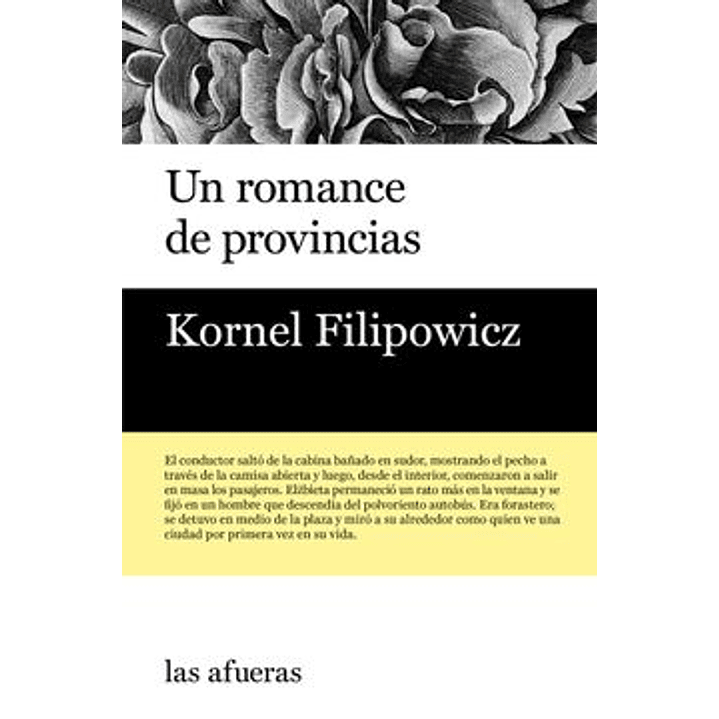 Un Romance En Provincias 1