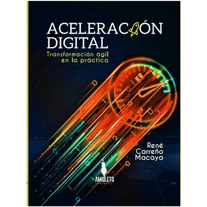 Aceleración Digital 1