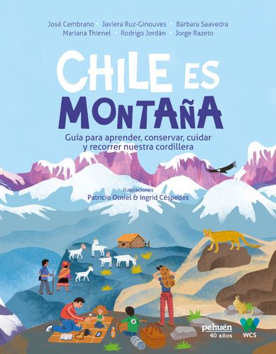 Chile Es Montaña