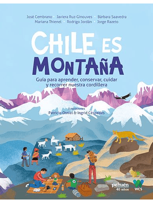 Chile Es Montaña