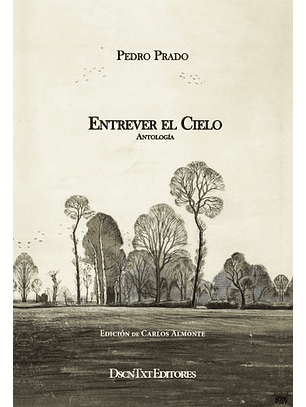 Entrever El Cielo