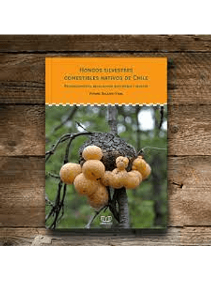 Hongos Silvestres Comestibles Nativos De Chile