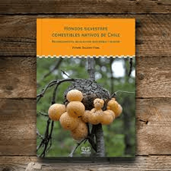 Hongos Silvestres Comestibles Nativos De Chile 1