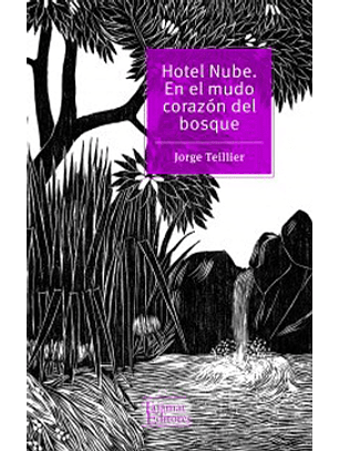 Hotel Nube En El Mundo Corazón Del Bosque