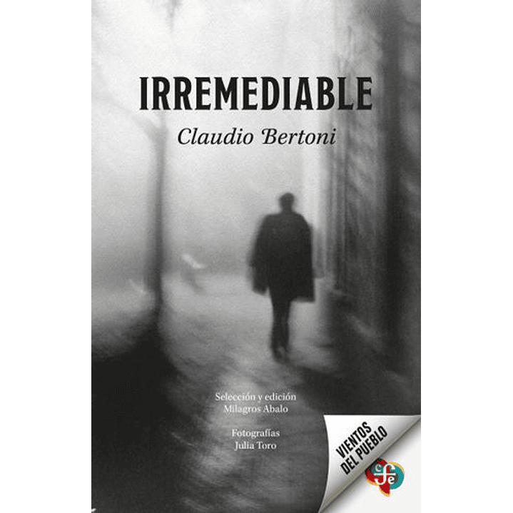 Irremediable 1
